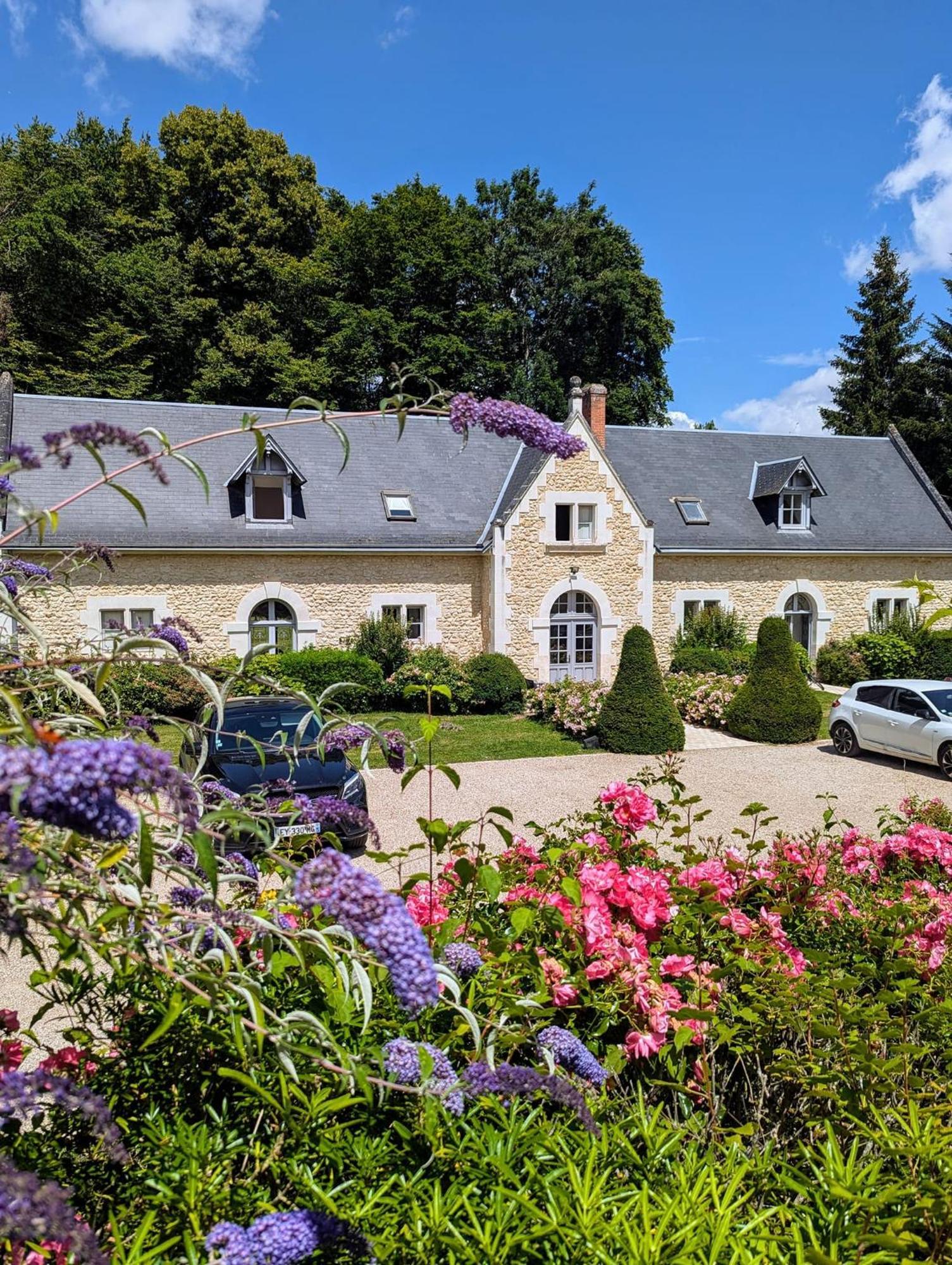 Chateau De La Menaudiere Chissay-en-Touraine Buitenkant foto