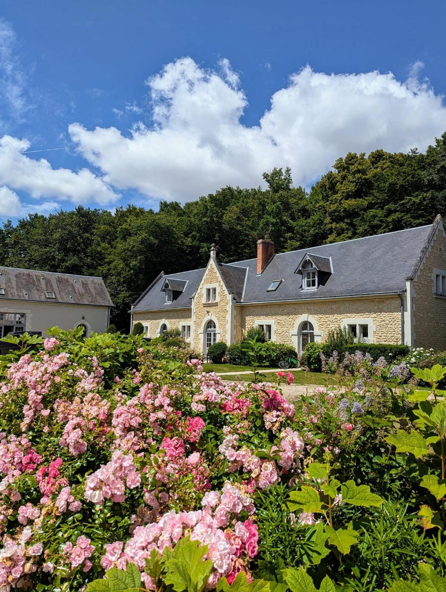 Chateau De La Menaudiere Chissay-en-Touraine Buitenkant foto